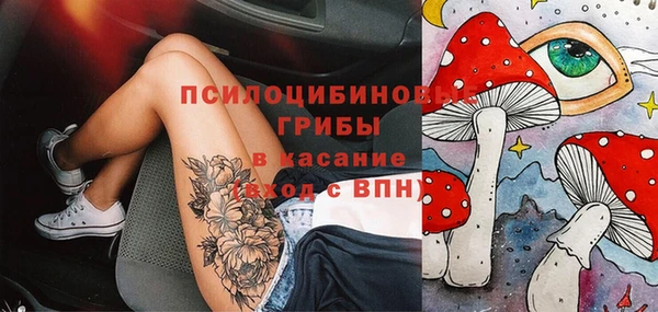 гидра Белоозёрский