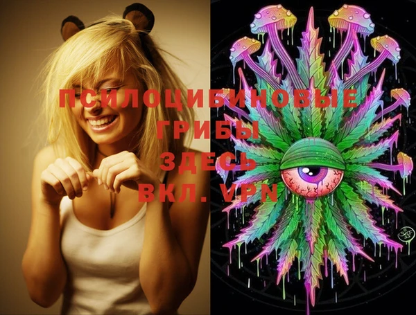 индика Кинешма