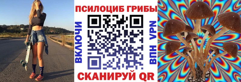Псилоцибиновые грибы Cubensis купить наркотики цена Салаир